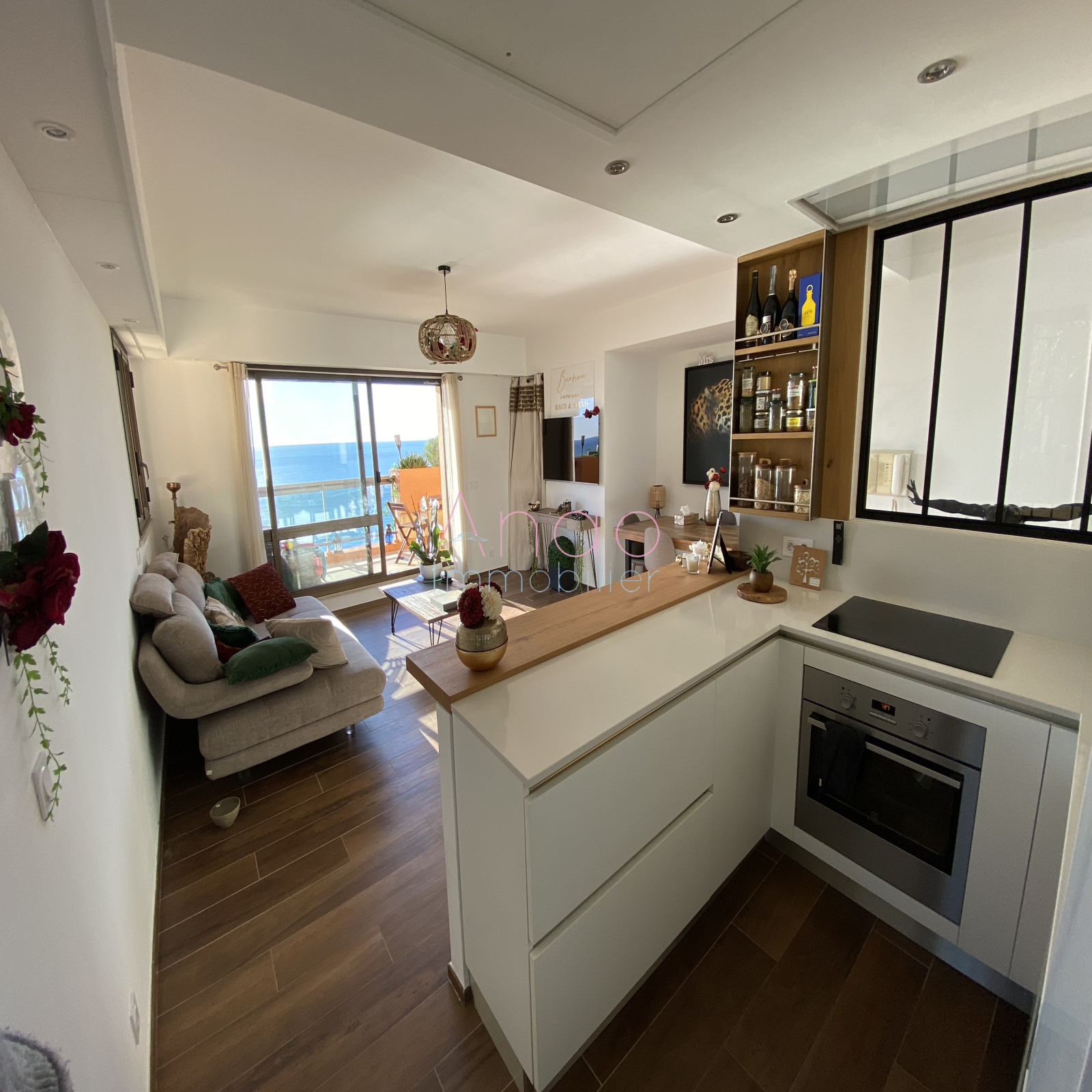 Image_, Appartement, Roquebrune-Cap-Martin, ref :01-2023